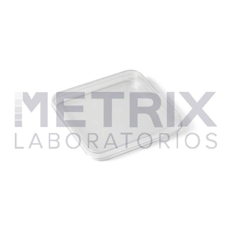 Proyecto nuevo (11)