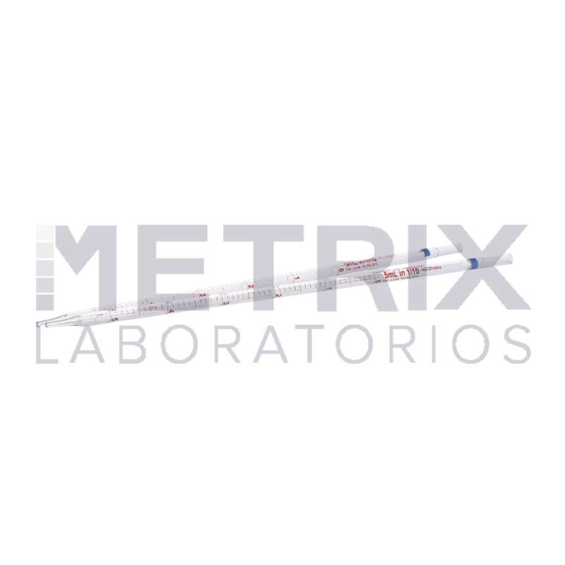 Proyecto nuevo (44)